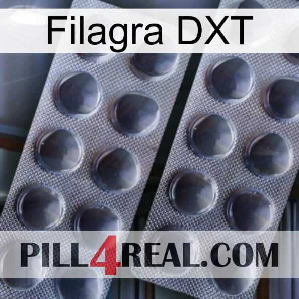 Filagra DXT 31.jpg